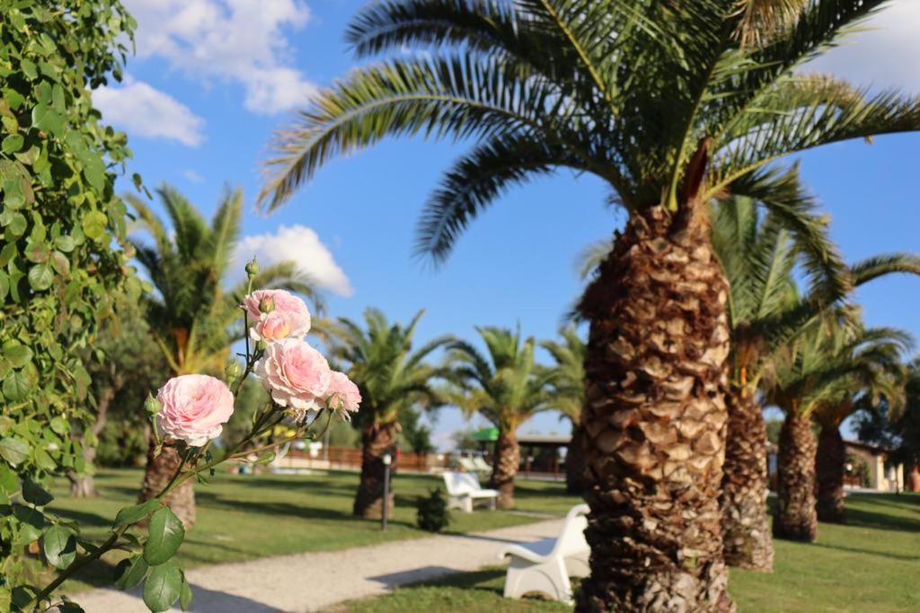 Agriturismo Il Casale Di Monica Rivotorto Bagian luar foto