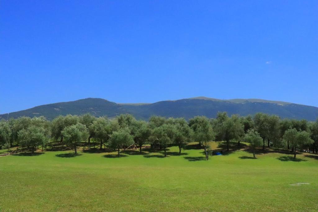 Agriturismo Il Casale Di Monica Rivotorto Bagian luar foto