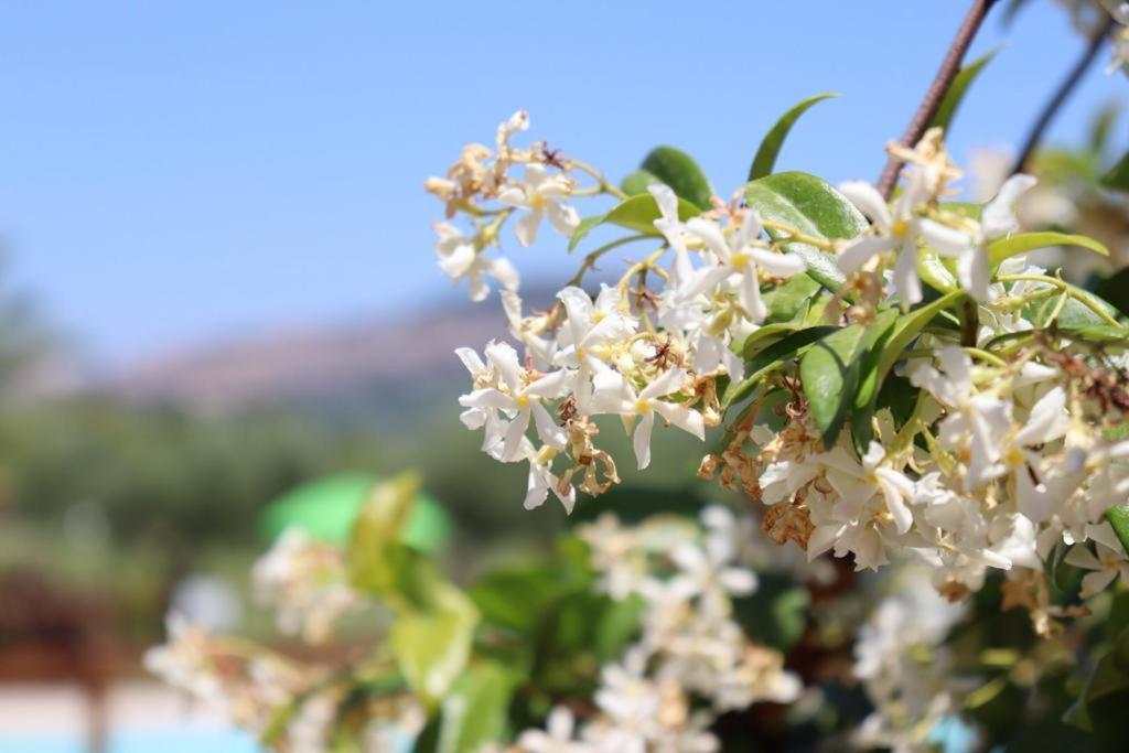 Agriturismo Il Casale Di Monica Rivotorto Bagian luar foto